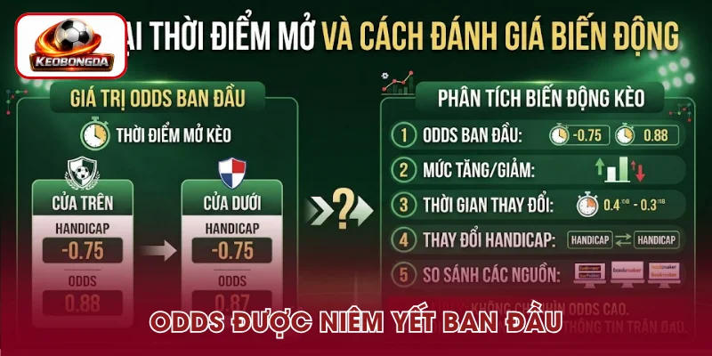 Cách đọc kèo mở thông qua tỷ lệ odds lúc mở kèo