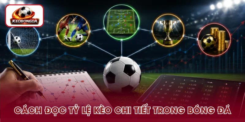 Cách Đọc Tỷ Lệ Kèo - Hướng Dẫn Hiểu Kèo Bóng Đá Dễ Dàng