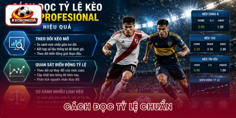 Cách phân tích tỷ lệ kèo bóng đá Liga Profesional 