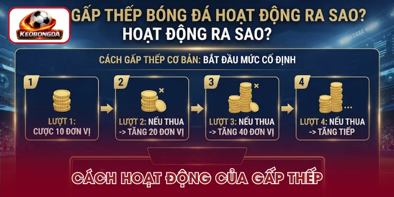 Cách hoạt động của cược gấp thếp bóng đá