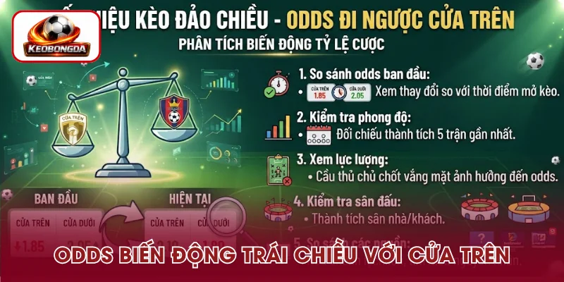Cửa trên xuất hiện biến động odds bất thường