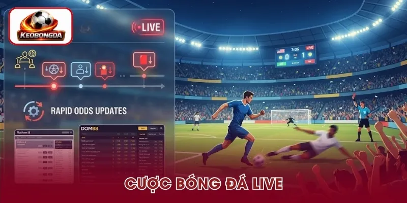 Cá cược bóng đá live tại DOM88