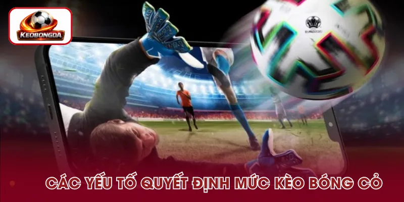 Những yếu tố tác động đến tỷ lệ kèo bóng cỏ