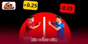 Kèo Đồng Nửa - Giải Mã Tỷ Lệ Và Cách Tính Kết Quả