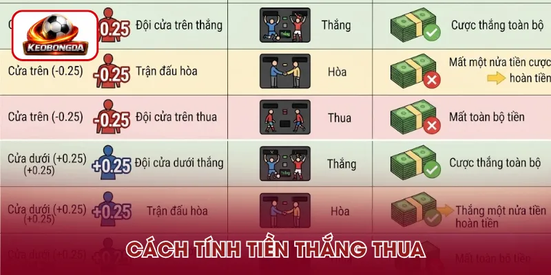 Xác định kết quả thắng thua
