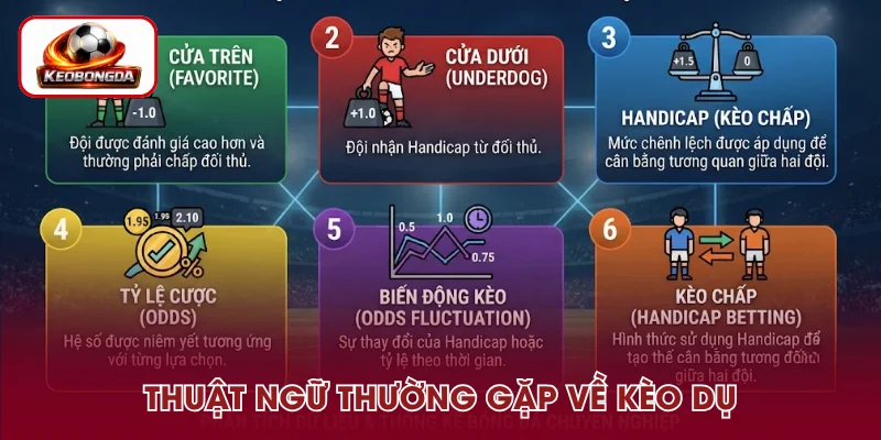 Những thuật ngữ thường gặp về kèo dụ trong bóng đá
