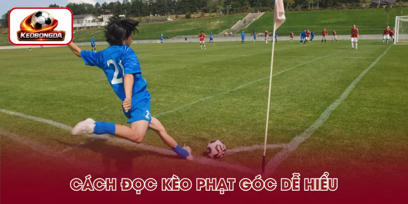 Cách đọc các loại kèo phạt góc dễ hiểu