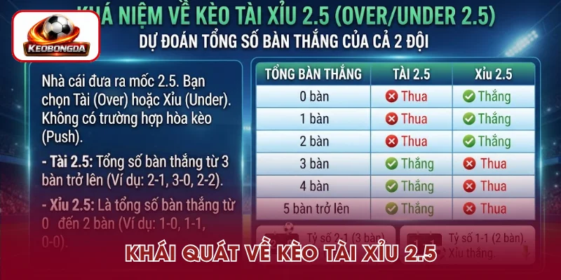 Giới thiệu về kèo Tài Xỉu 2.5