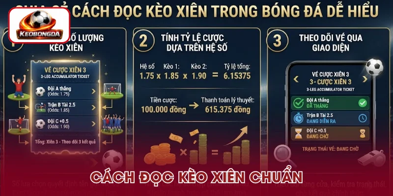 Chia sẻ cách đọc kèo xiên trong bóng đá dễ hiểu