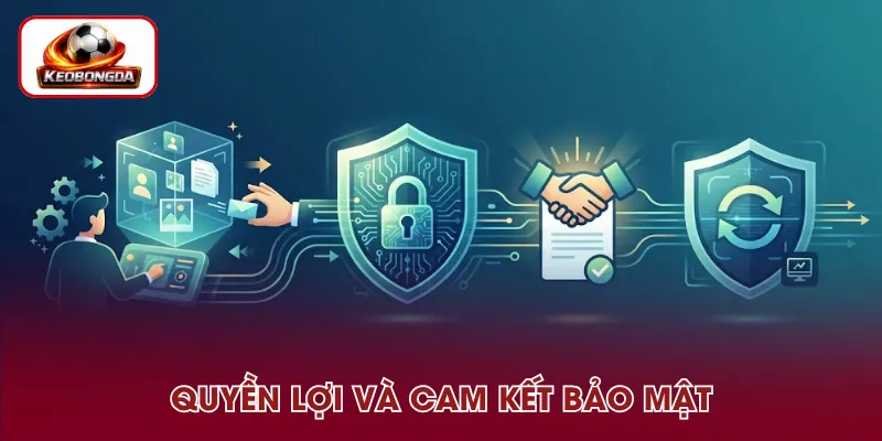Quyền lợi thành viên và trách nhiệm bảo vệ dữ liệu của hệ thống