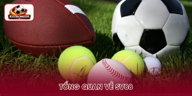 Khái quát về SV88