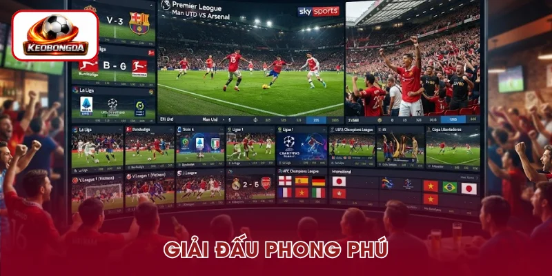 Danh mục giải đấu đa dạng từ nội địa đến quốc tế