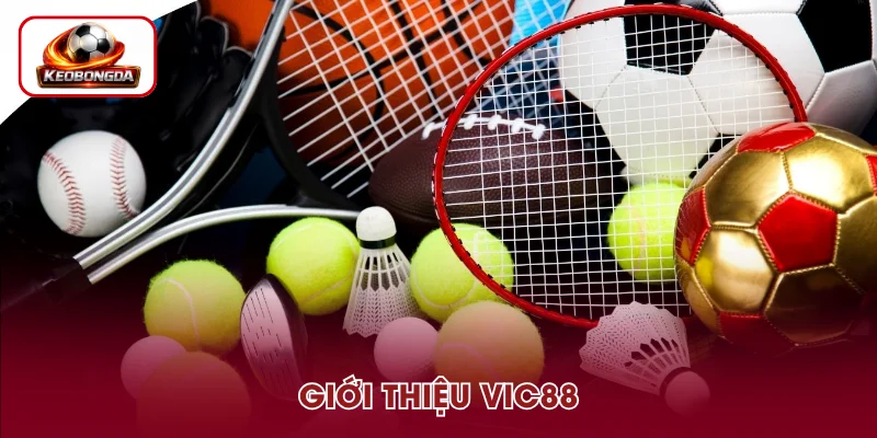 Khái quát về VIC88