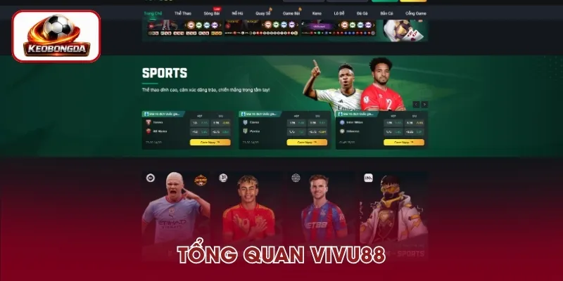 Tổng quan thông tin về VIVU88
