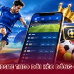 WIN79 - Nền Tảng Kèo Bóng Đá Đa Dạng, Dễ Theo Dõi