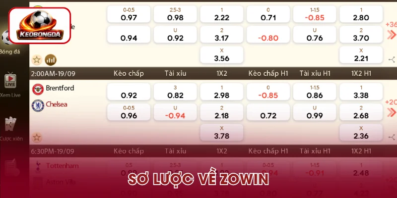 Giới thiệu tổng quan về nền tảng ZOWIN