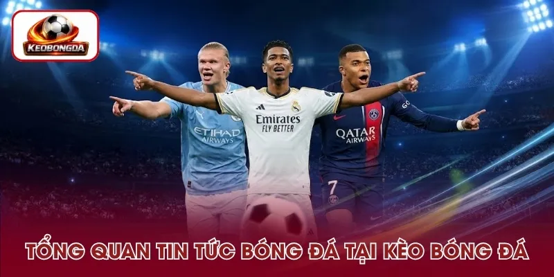 Giới thiệu chuyên mục tin tức bóng đá trên trang kèo bóng đá