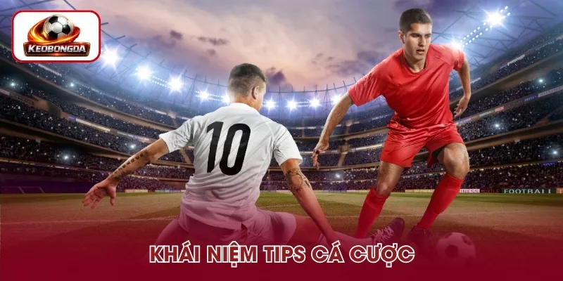 Tips cá cược là kinh nghiệm soi kèo bóng đá
