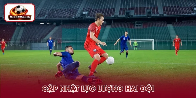 Tình hình lực lượng trước trận