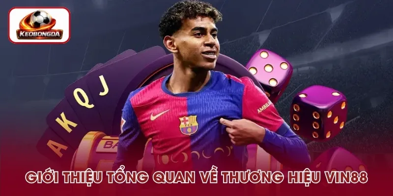 Tổng quan về thương hiệu VIN88