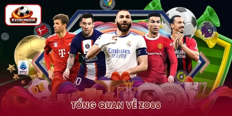 Tổng quan về thương hiệu Zo88